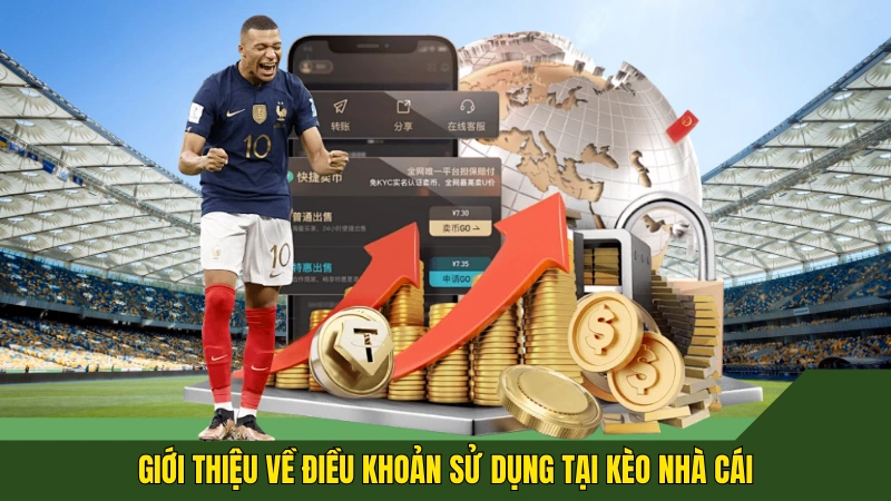 Giới thiệu về điều khoản sử dụng tại kèo nhà cái