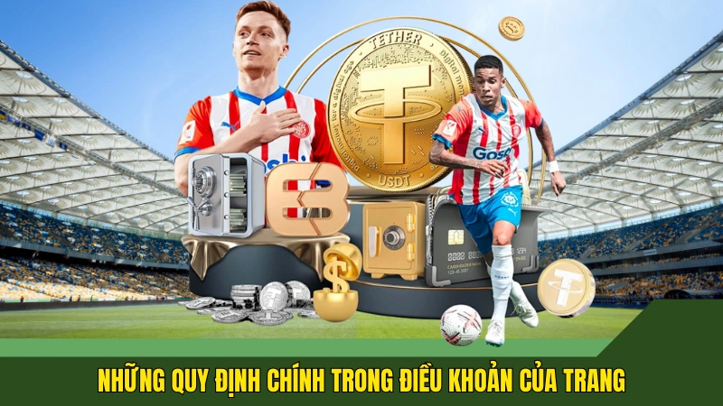 Những quy định chính trong điều khoản của trang
