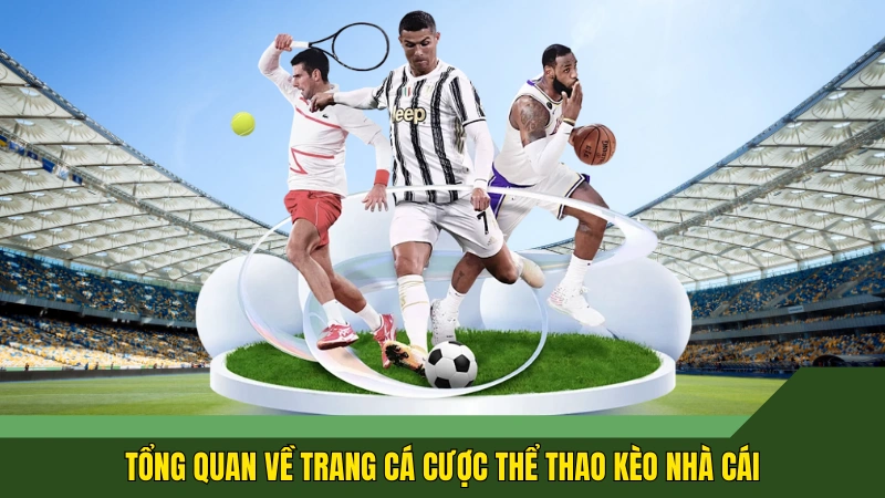 Tổng quan về trang cá cược thể thao Kèo nhà cái