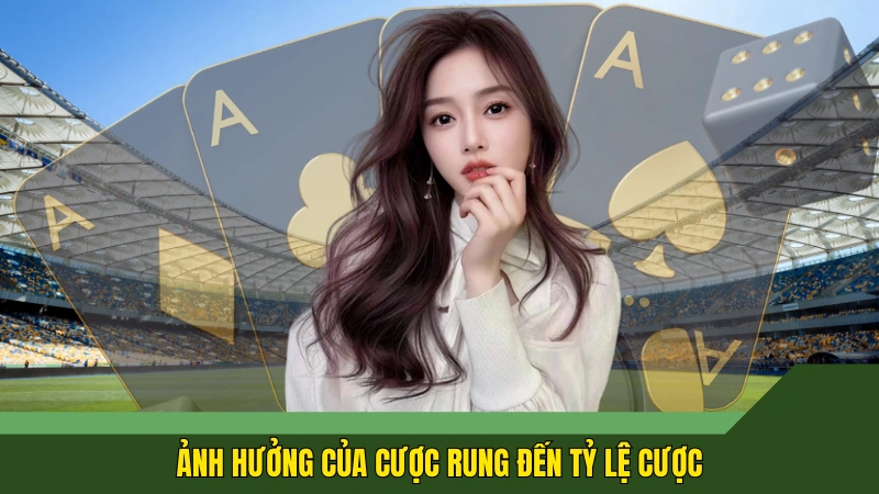 Ảnh hưởng của cược rung đến tỷ lệ cược