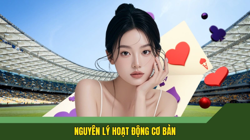 Nguyên lý hoạt động cơ bản