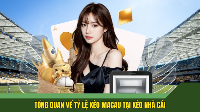 Tổng quan về tỷ lệ kèo Macau tại Kèo nhà cái